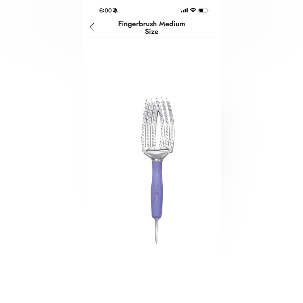 Purple Hairbrush with Silver Bristles